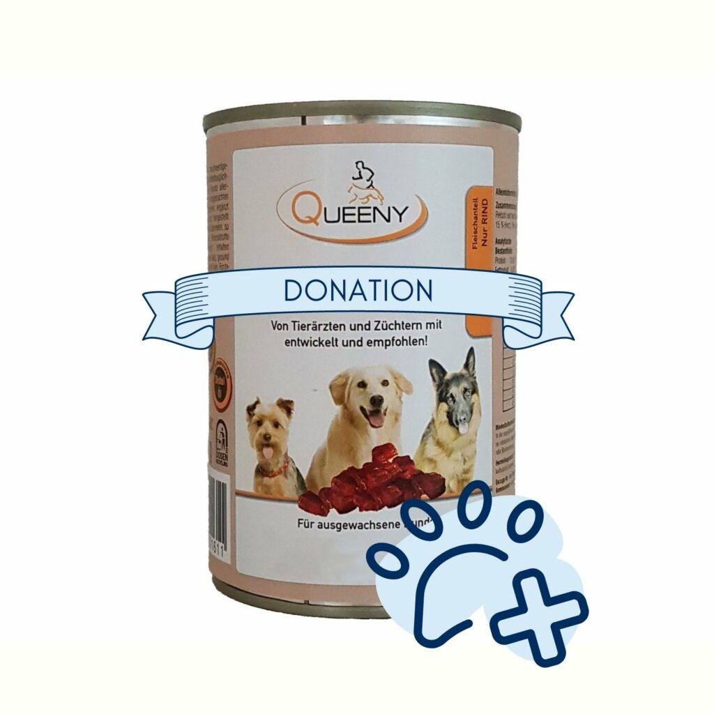 Don - 800g d'aliments humides pour chiens pour un refuge pour animaux