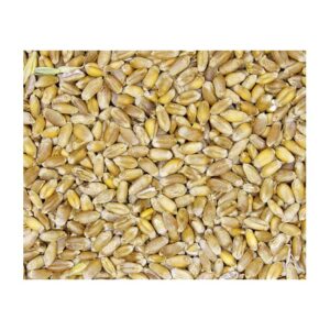 Weizen 25kg