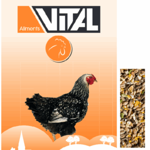 Vital Komplette Legemischung 25kg