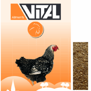 Vital Junghennen 25kg