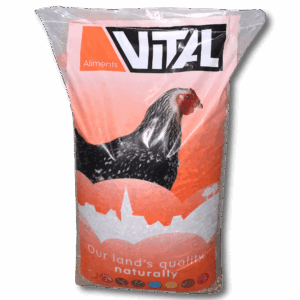 Vital Körnermischung Küken Z1 5kg